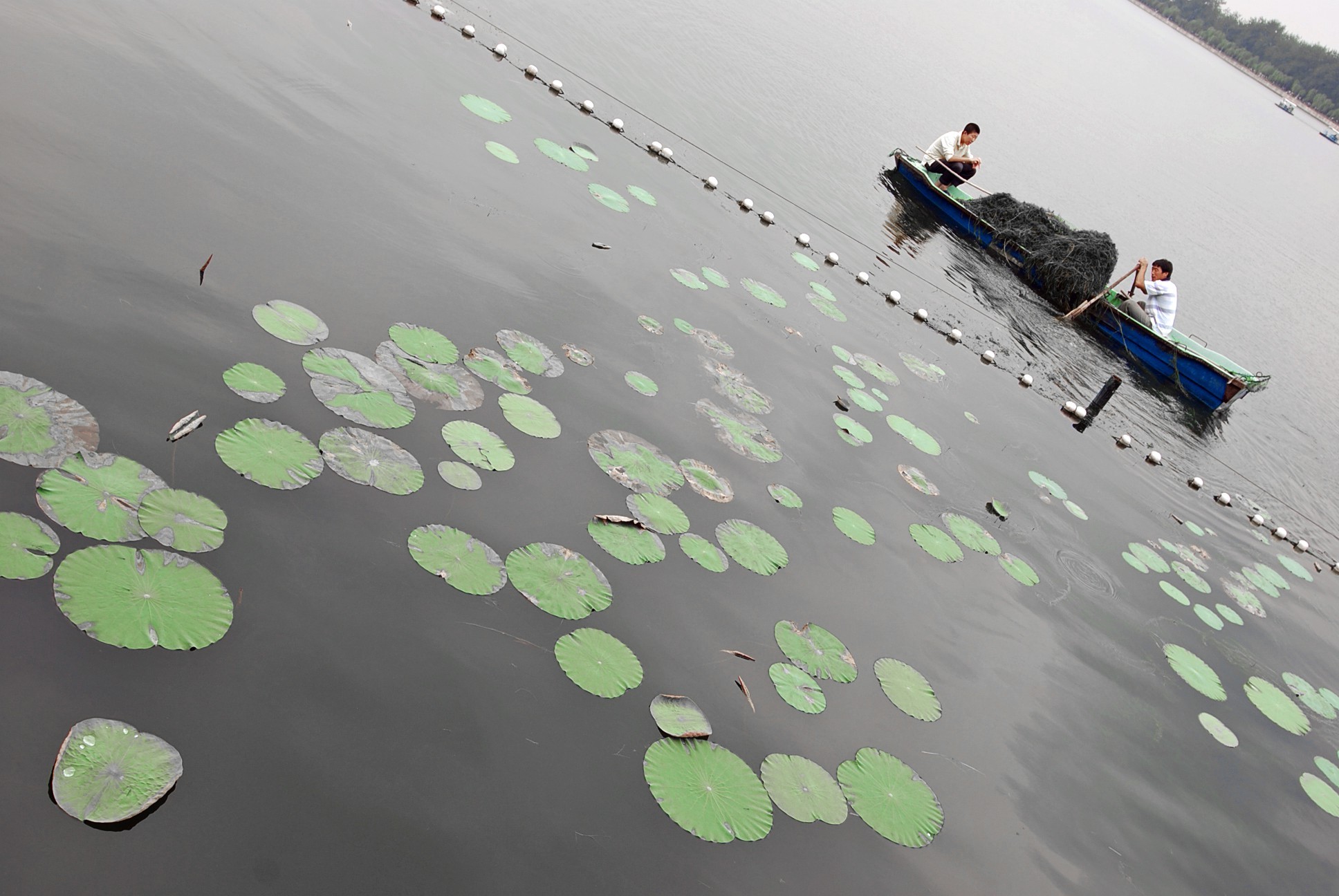 Beijing, Fishing, Lake Wallpaper