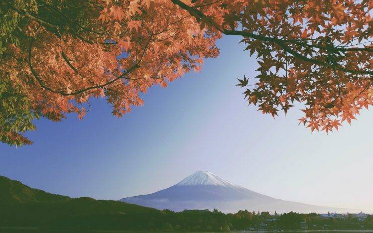 nature, Fall, Leaves HD Wallpaper Desktop Background