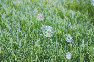 nature, Green, Bubbles