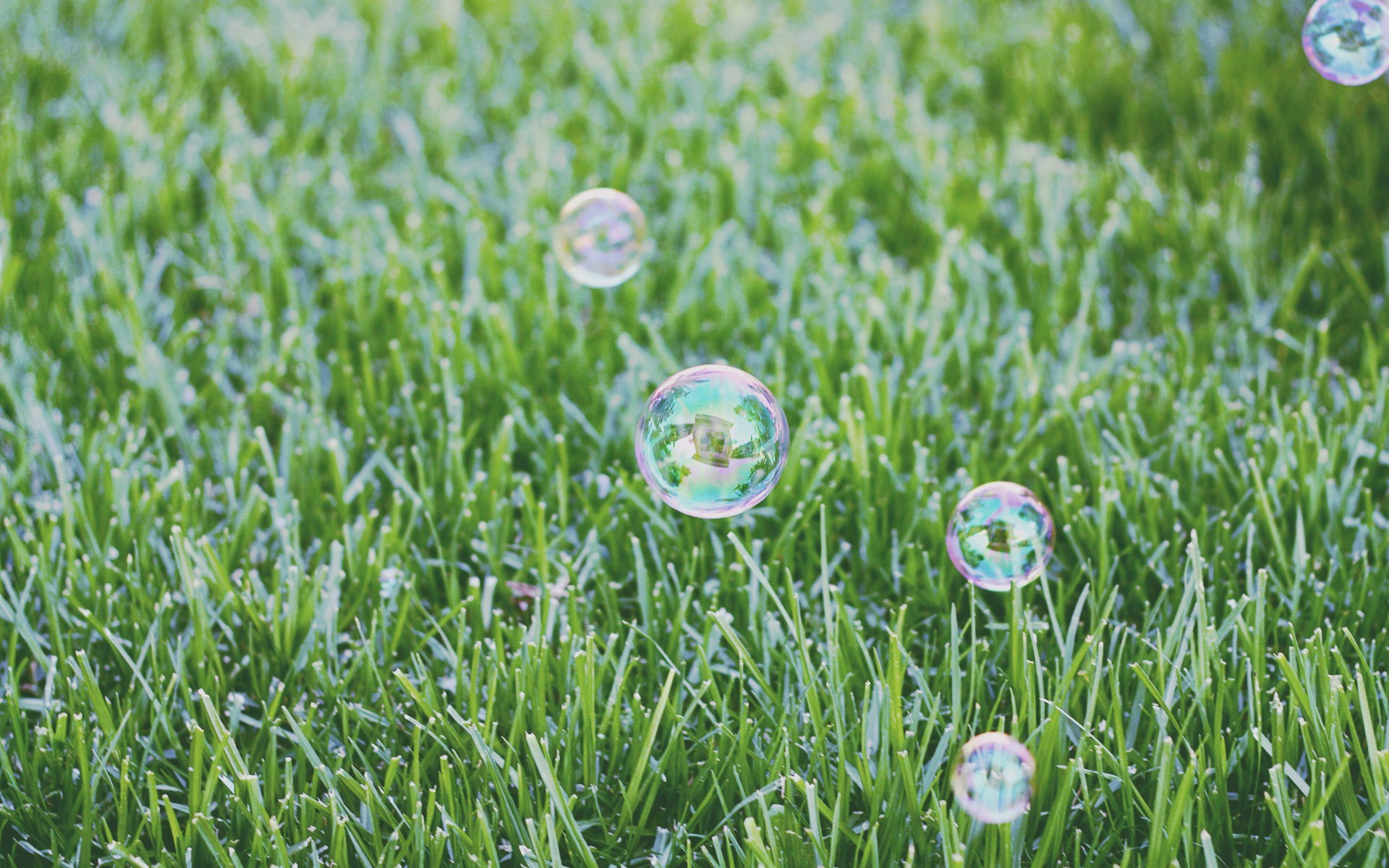 nature, Green, Bubbles Wallpaper