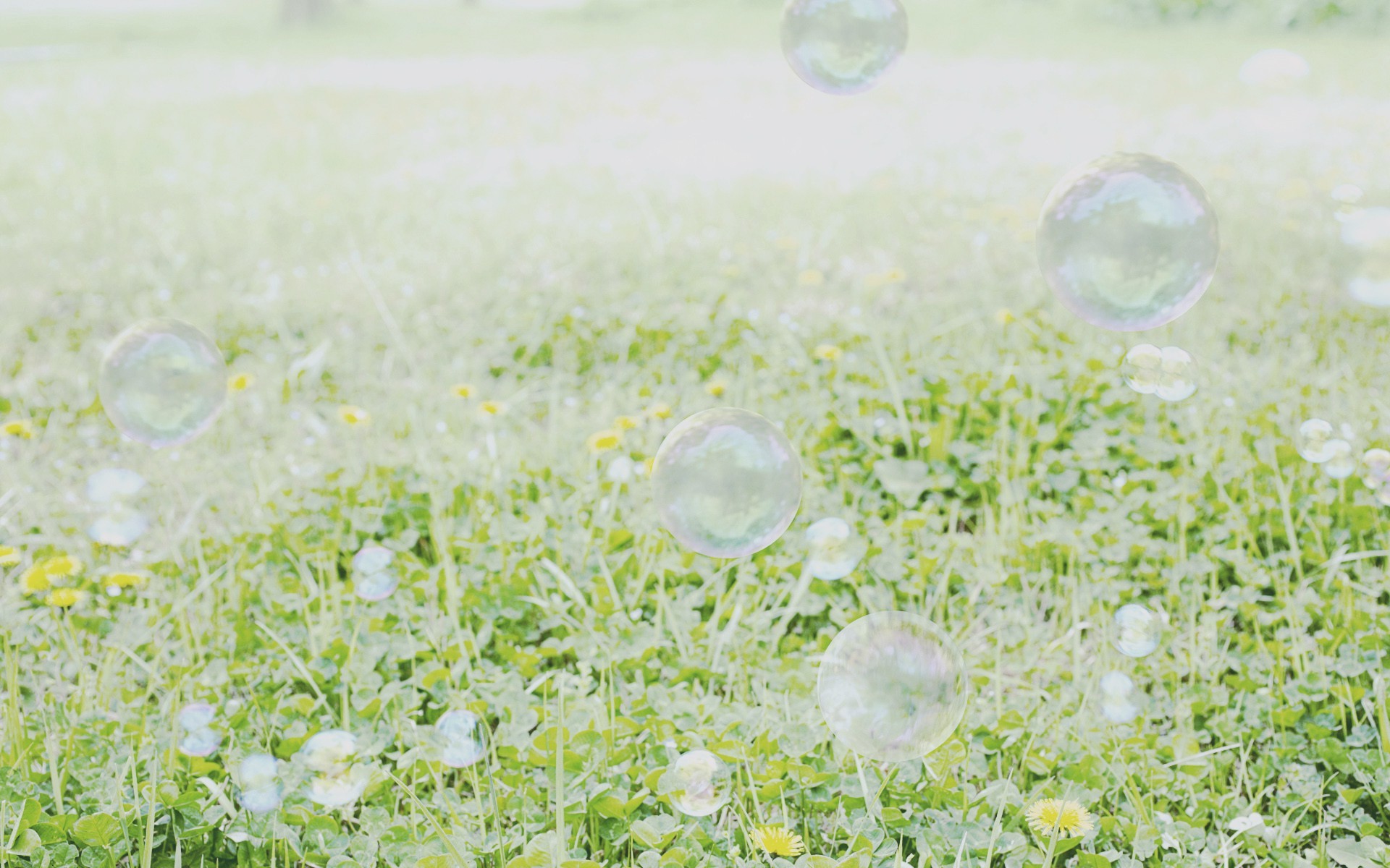 bubbles, Green, Nature Wallpaper