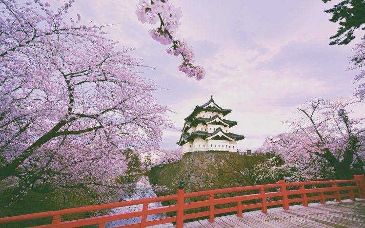 trees, Purple, Nature, Cherry Blossom, Hirosaki Castle HD Wallpaper Desktop Background