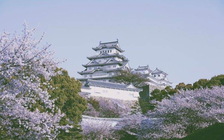 nature, Himeji Castle HD Wallpaper Desktop Background