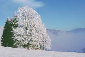snow, Winter, Nature, White