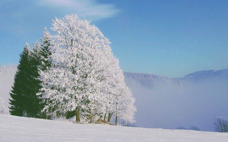 snow, Winter, Nature, White HD Wallpaper Desktop Background