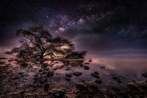 nature, Trees, Water, Night, Stars, Milky Way