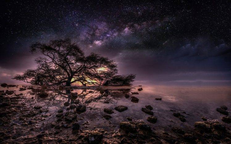 nature, Trees, Water, Night, Stars, Milky Way HD Wallpaper Desktop Background