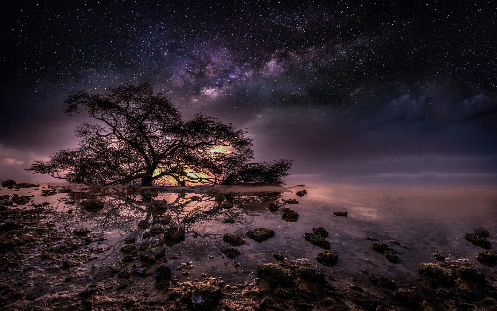 nature, Trees, Water, Night, Stars, Milky Way Wallpaper