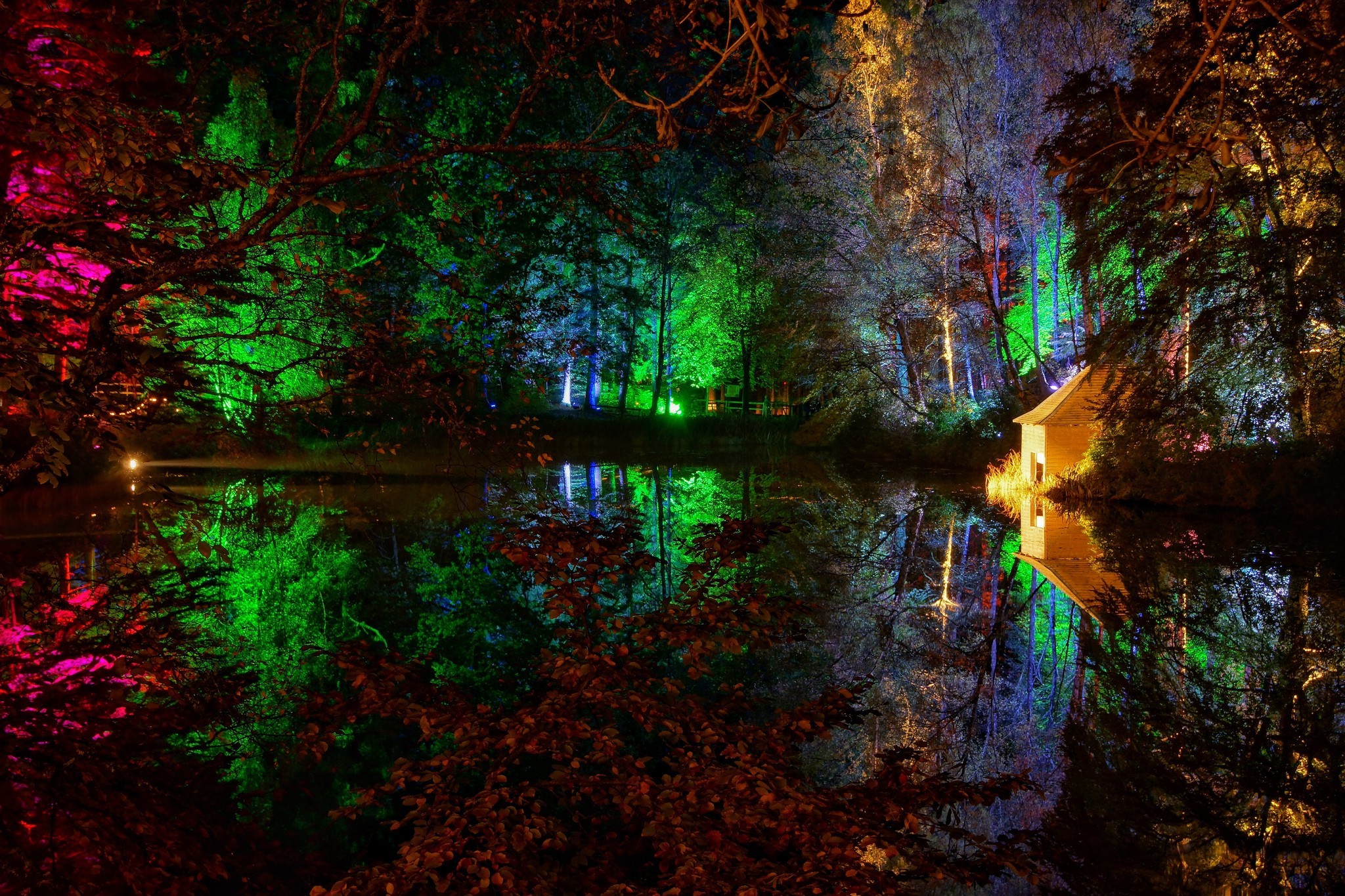 trees, Lake, Colorful Wallpaper