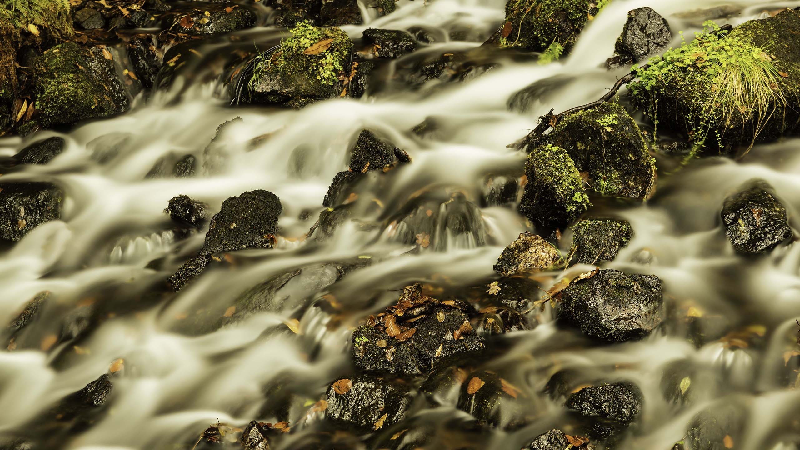 river Wallpaper