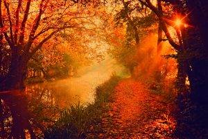 trees, River, Sun Rays, Fall