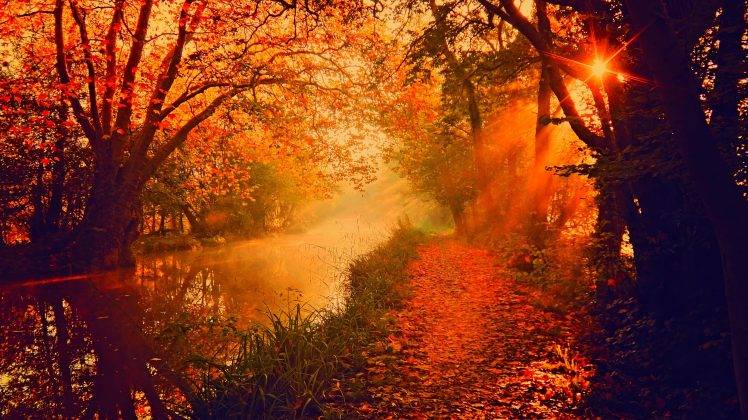 trees, River, Sun Rays, Fall HD Wallpaper Desktop Background