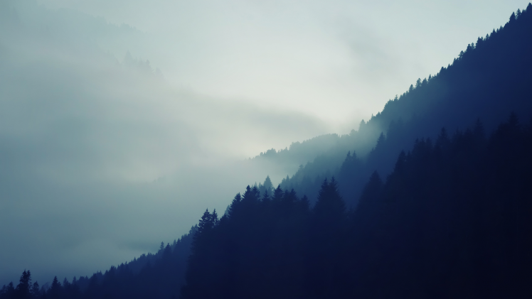 nature, Mist, Forest, Natural Lighting, Trees, Mountain HD Wallpaper Desktop Background