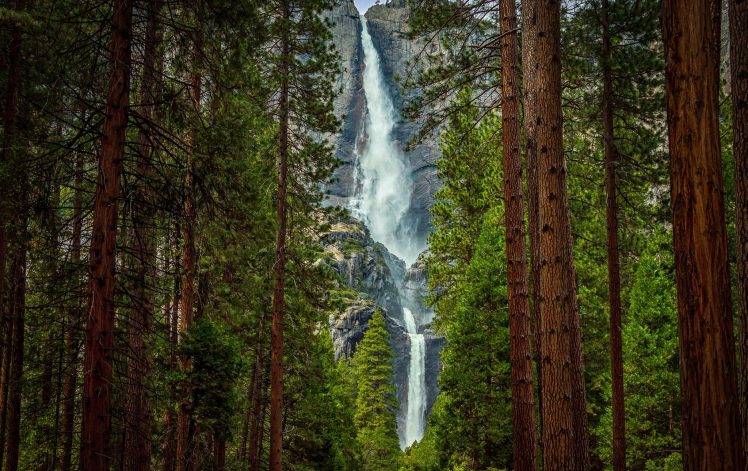 trees, River, Waterfall HD Wallpaper Desktop Background
