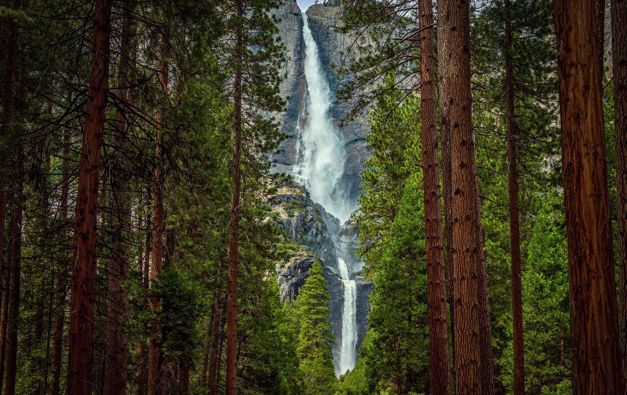 trees, River, Waterfall Wallpaper