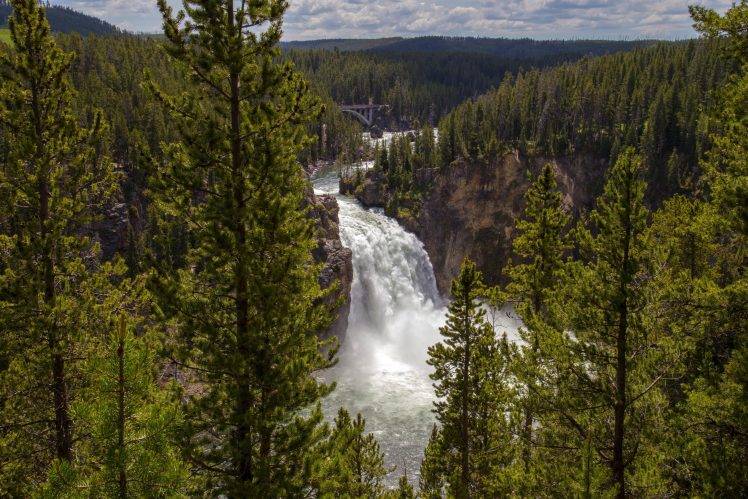 river, Waterfall, Forest, Pine Trees HD Wallpaper Desktop Background