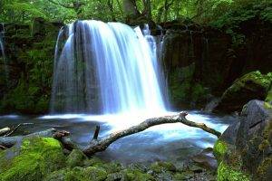 nature, Waterfall