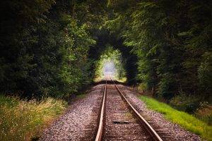 railway, Nature, Trees, Forest