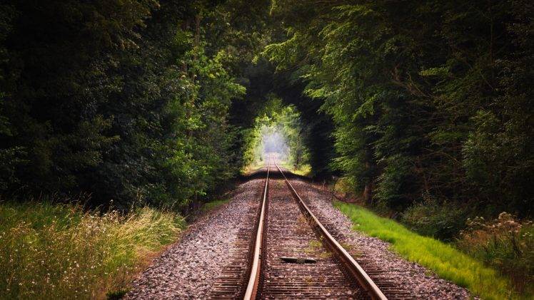 railway, Nature, Trees, Forest HD Wallpaper Desktop Background