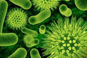 nature, Closeup, Microscopic, Viruses, Bacteria, Science, Green, Biology