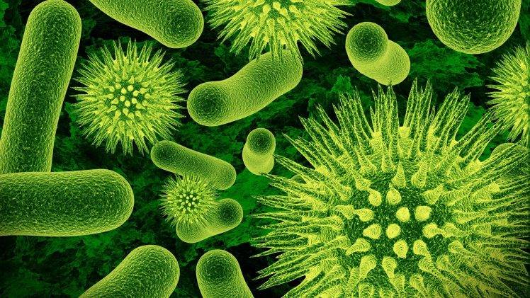 nature, Closeup, Microscopic, Viruses, Bacteria, Science, Green, Biology HD Wallpaper Desktop Background
