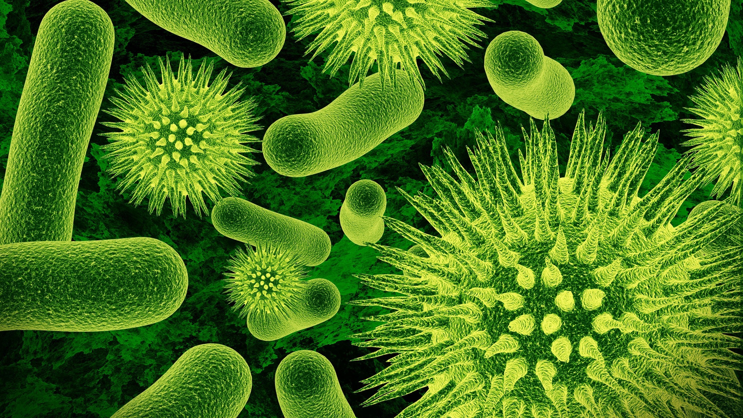 nature, Closeup, Microscopic, Viruses, Bacteria, Science, Green, Biology Wallpaper