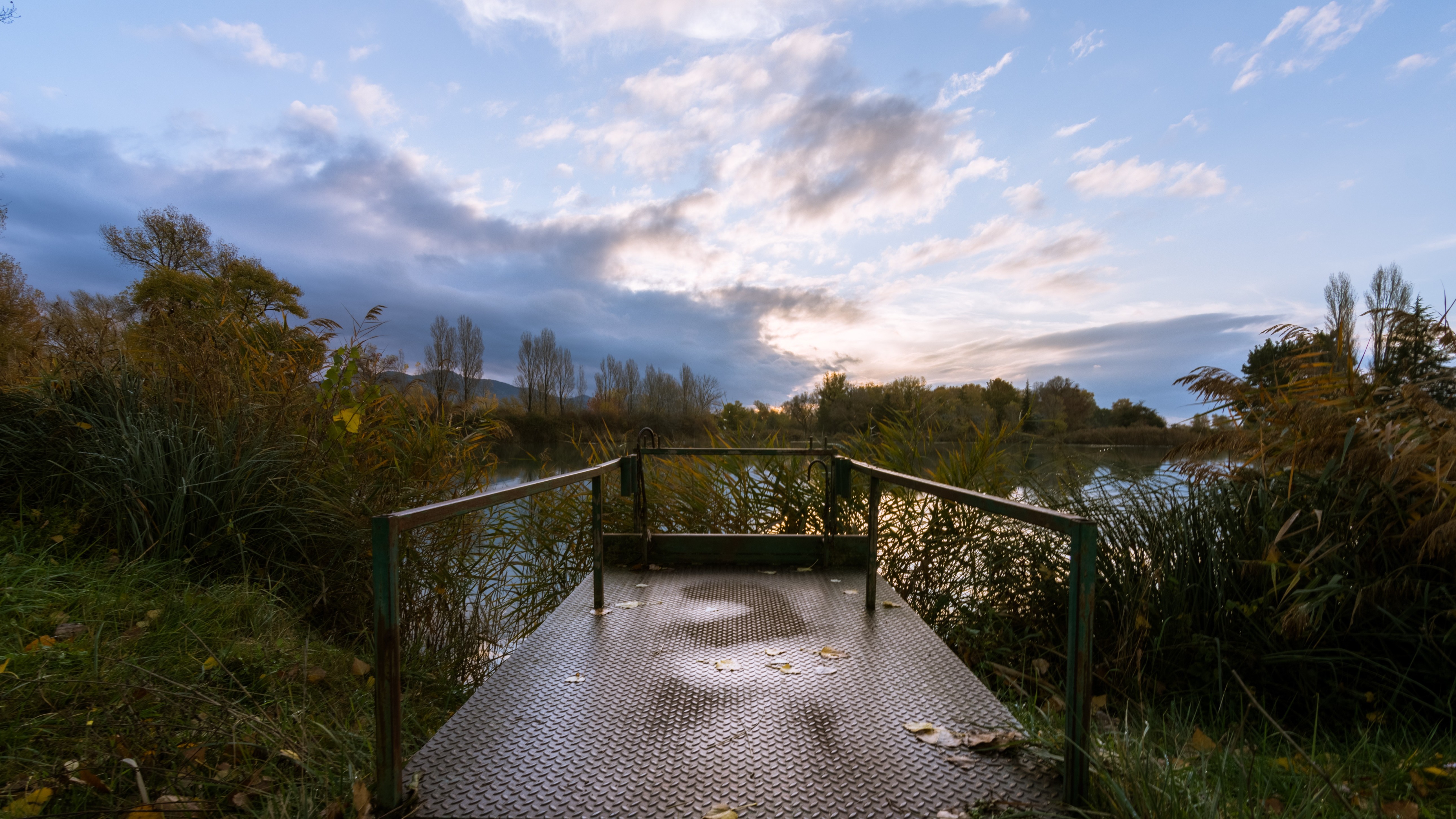 nature, Provence Wallpaper
