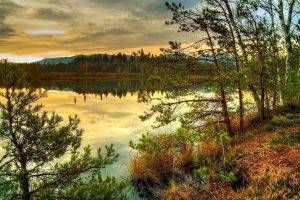 nature, Sunset, Lake, Trees, Forest, Reflection
