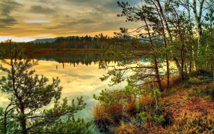 nature, Sunset, Lake, Trees, Forest, Reflection HD Wallpaper Desktop Background