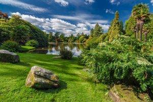 nature, Trees, Forest, Water, Park, Plants, Lake, Palm Trees, Stones, Clouds, Grass, UK