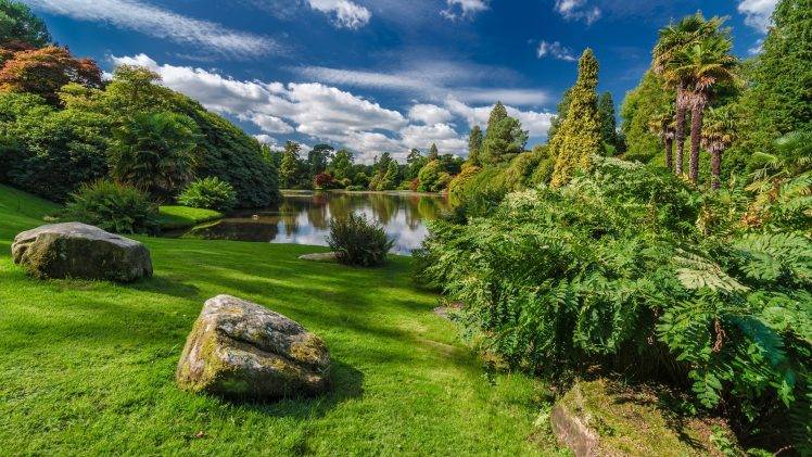 nature, Trees, Forest, Water, Park, Plants, Lake, Palm Trees, Stones, Clouds, Grass, UK HD Wallpaper Desktop Background