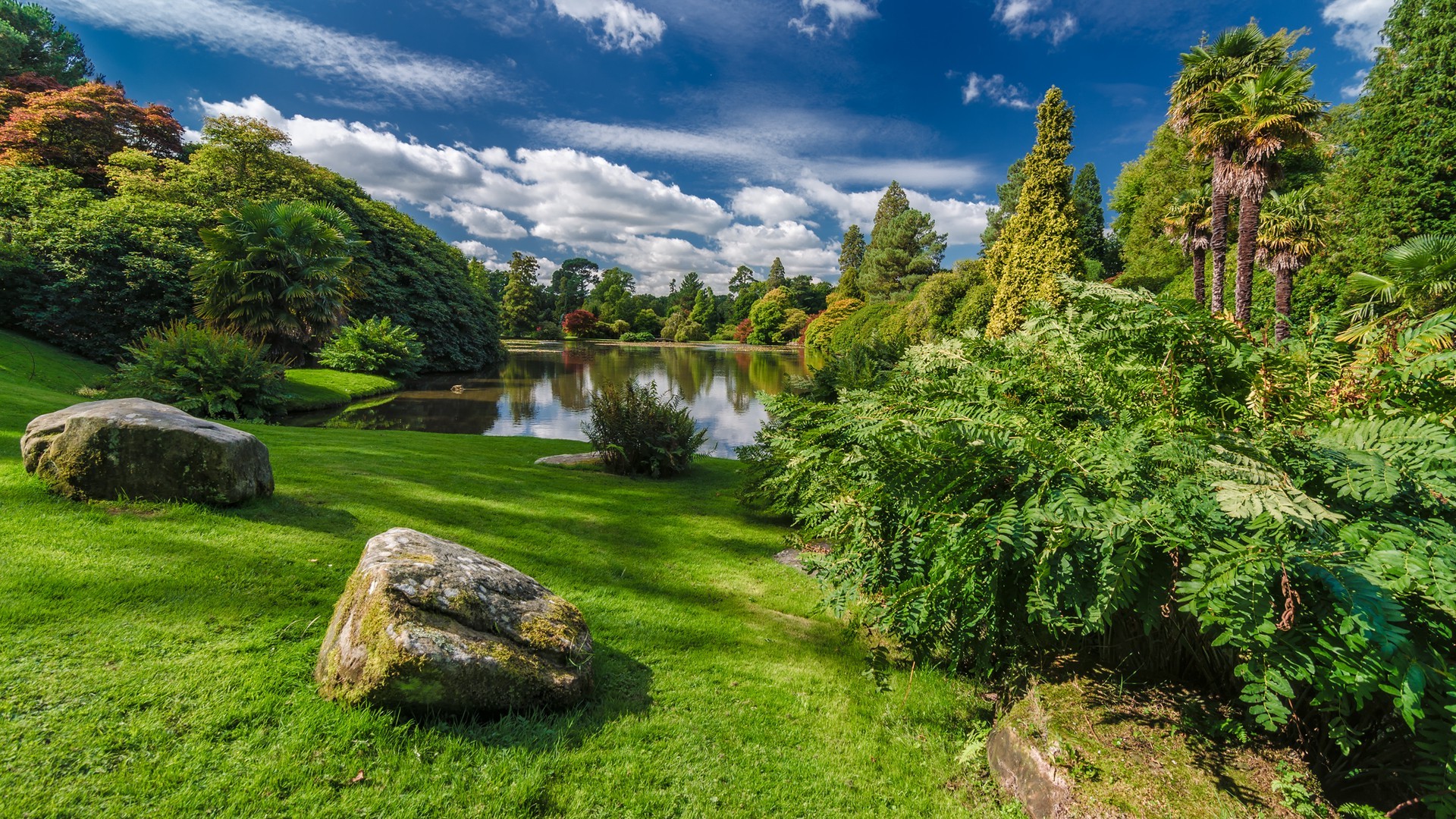 nature, Trees, Forest, Water, Park, Plants, Lake, Palm Trees, Stones, Clouds, Grass, UK Wallpaper