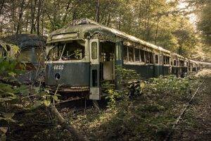 nature, Trees, Leaves, Vehicle, Tram, Railway, Rail Yard, Forest, Branch, Wreck, Old, Abandoned, Broken, Rust, Scrap