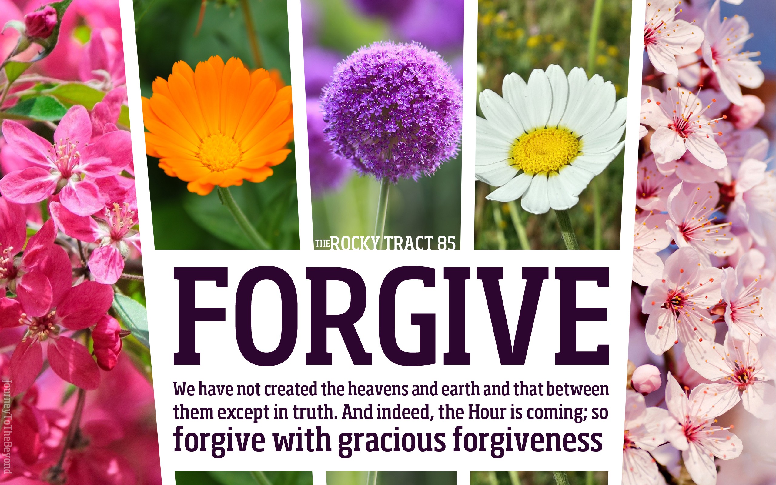 flowers, Peace Wallpaper