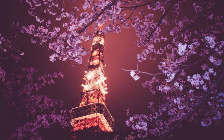 flowers, Tokyo Tower, Japan, Tokyo, Night HD Wallpaper Desktop Background
