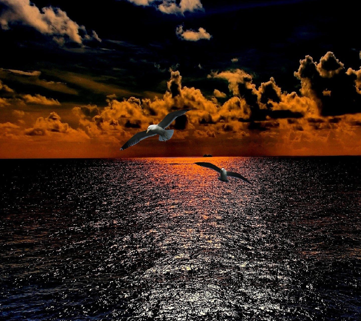 nature Wallpaper