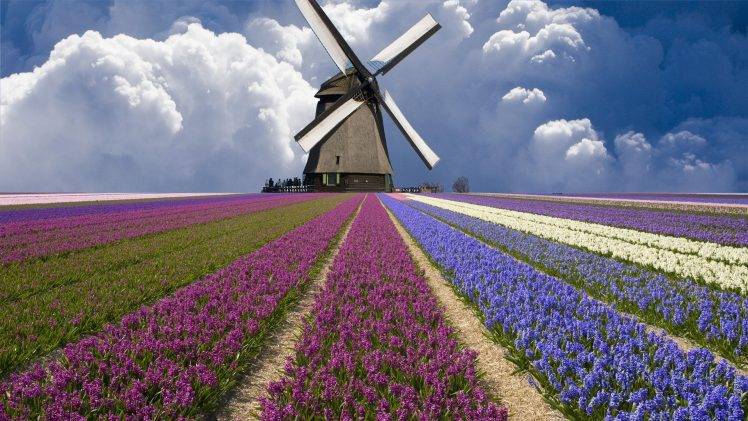 nature, Windmills HD Wallpaper Desktop Background