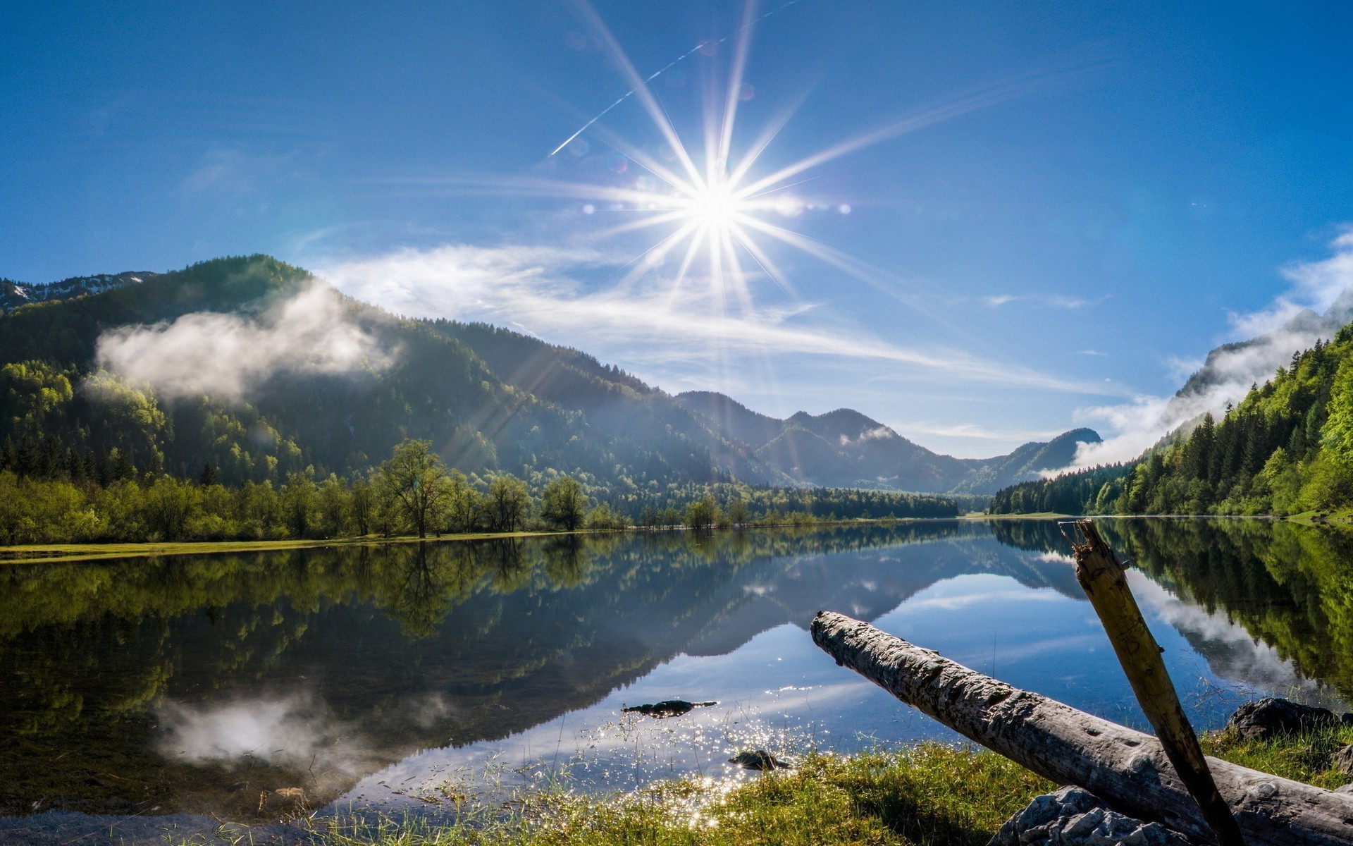 nature Wallpaper