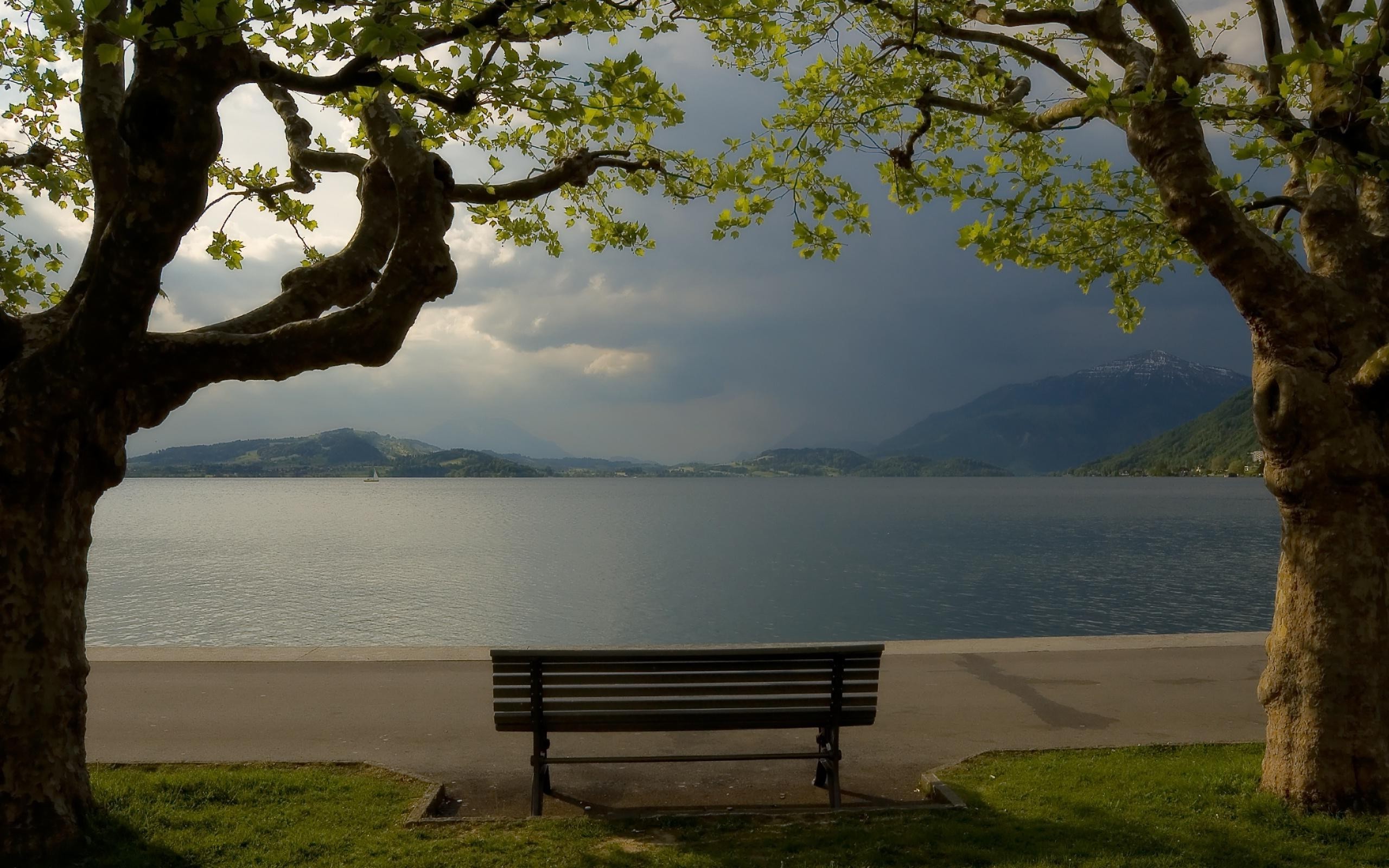 nature Wallpaper