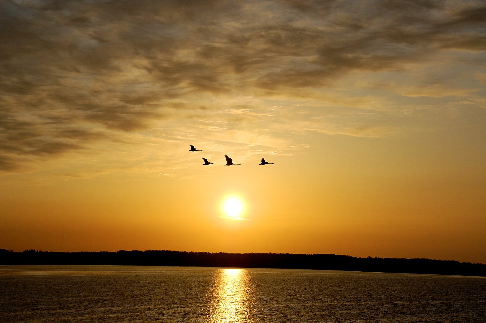 nature Wallpaper