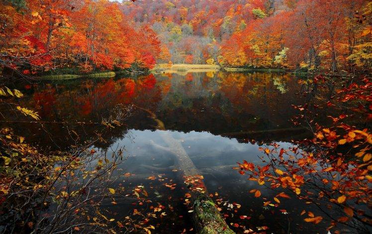 nature, Water, Reflection, Lake HD Wallpaper Desktop Background