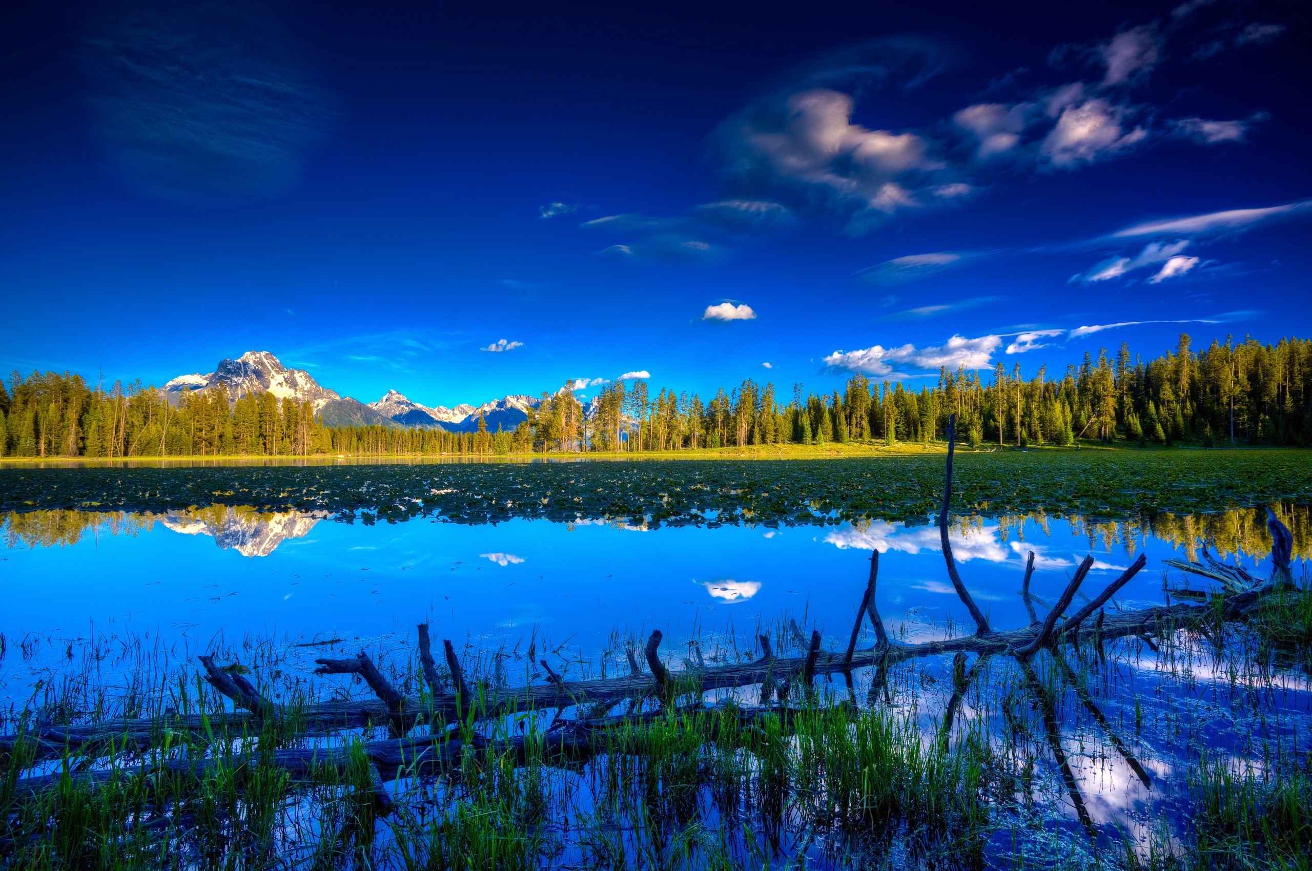 nature Wallpaper