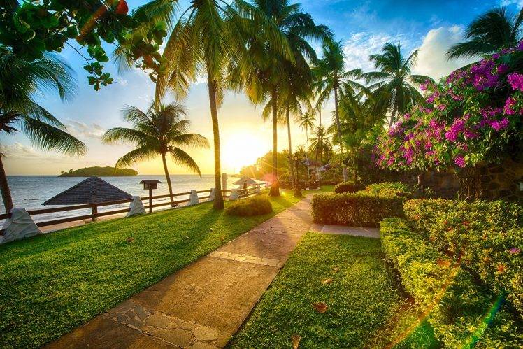 beach, Sunset, Palm Trees, Sea, Flowers, Coast, Grass, Path, Nature HD Wallpaper Desktop Background