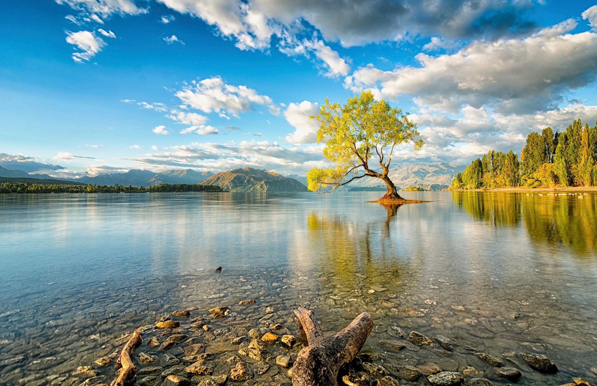 New Zealand, Nature, Lake, Trees, Reflection Wallpaper