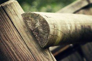 wood, Fence, Nature, Closeup