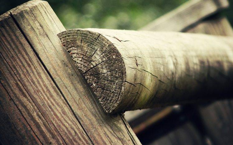 wood, Fence, Nature, Closeup HD Wallpaper Desktop Background