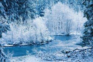 nature, River, Winter