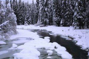 ice, River, Forest, Snow, Trees