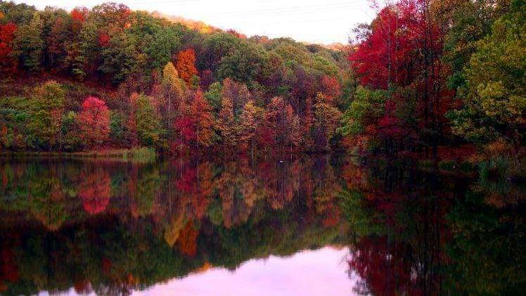 forest, Lake, Fall, Reflection HD Wallpaper Desktop Background