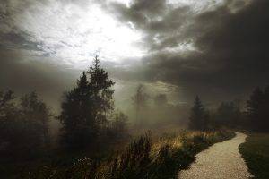 nature, Trees, Forest, Road, Path, Mist, Clouds, Dirt Road